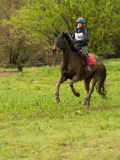 DSC06633 DSC06633