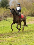 DSC06634 DSC06634