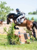 DSC07768 DSC07768