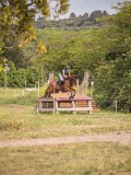IMG_0435 IMG_0435