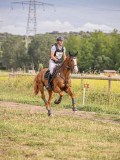 IMG_0437 IMG_0437