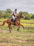 IMG_0438 IMG_0438
