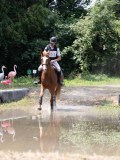 IMG_6886