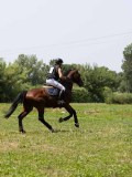 IMG_6905