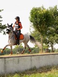 DSC07636