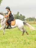 MAX01863