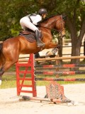 DSC02183