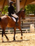 DSC03201