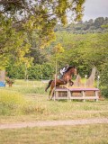 IMG_0503 IMG_0503