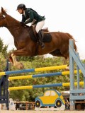 DSC03649 DSC03649