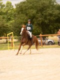DSC03656 DSC03656