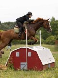 IMG_2334 IMG_2334