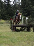 IMG_2337 IMG_2337