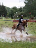 IMG_2341