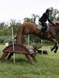 IMG_2348