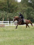 IMG_2352
