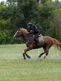 IMG_2354