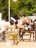 DSC07516 DSC07516