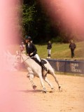 DSC07519 DSC07519