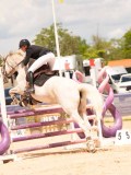 DSC07520 DSC07520