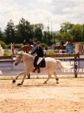 DSC07526 DSC07526