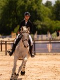 DSC07528 DSC07528