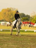 DSC02590