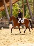 DSC03241 DSC03241