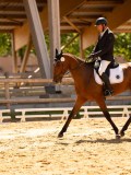 DSC03243 DSC03243