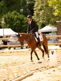 DSC03245 DSC03245