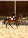 DSC03253 DSC03253