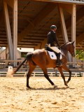 DSC03254 DSC03254