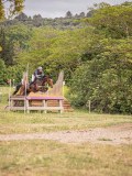 IMG_0517 IMG_0517