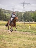 IMG_0518 IMG_0518
