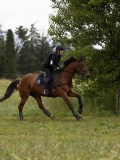 IMG_2289 IMG_2289