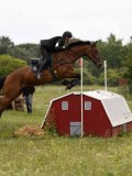 IMG_2292 IMG_2292
