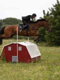 IMG_2293 IMG_2293