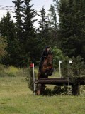 IMG_2295 IMG_2295