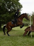 IMG_2303 IMG_2303