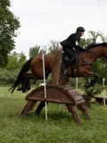 IMG_2305 IMG_2305