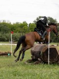 IMG_2307 IMG_2307