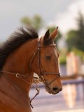DSC02759 DSC02759