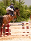 DSC02763 DSC02763