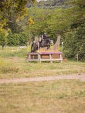 IMG_0443