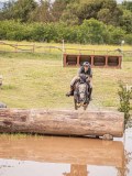 IMG_0462