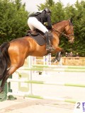 DSC03765 DSC03765