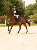 DSC03768 DSC03768