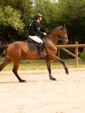 DSC03775 DSC03775