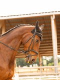 DSC05858 DSC05858