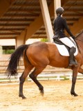 DSC05890 DSC05890